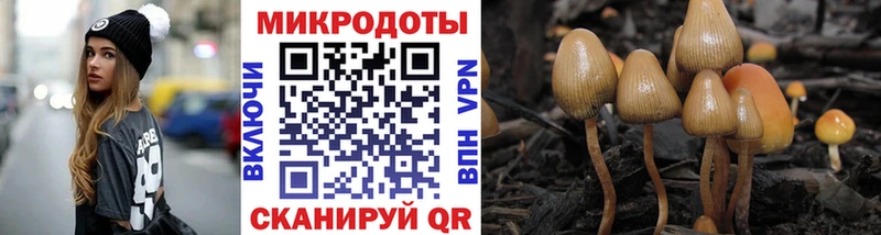 mega вход  Касимов  Псилоцибиновые грибы MAGIC MUSHROOMS 