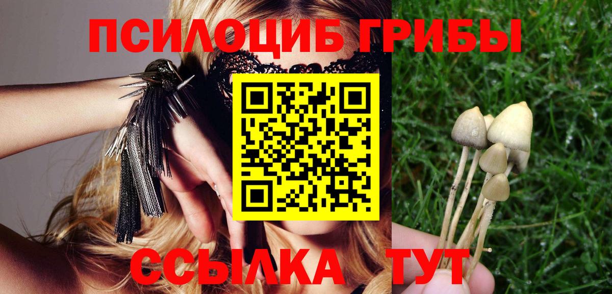 Касимов  Метамфетамин  Бошки Шишки  ЭКСТАЗИ  Гашиш  Вход с VPN  Меф кристаллы 