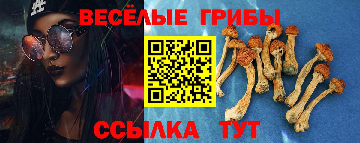 Касимов  Галлюциногенные грибы Magic Shrooms  Псилоцибиновые грибы Psilocybe  Вход с VPN 